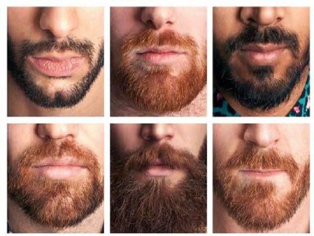 Как отпускать правильно бороду – как отрастить бороду — этапы роста, стиль и уход