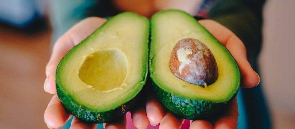 Полезные свойства и вред авокадо для организма человека