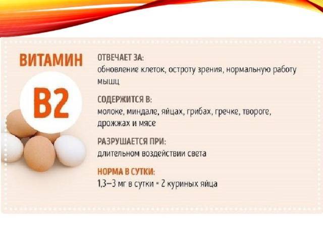 #химия | что необходимо знать о витаминах? - hi-news.ru