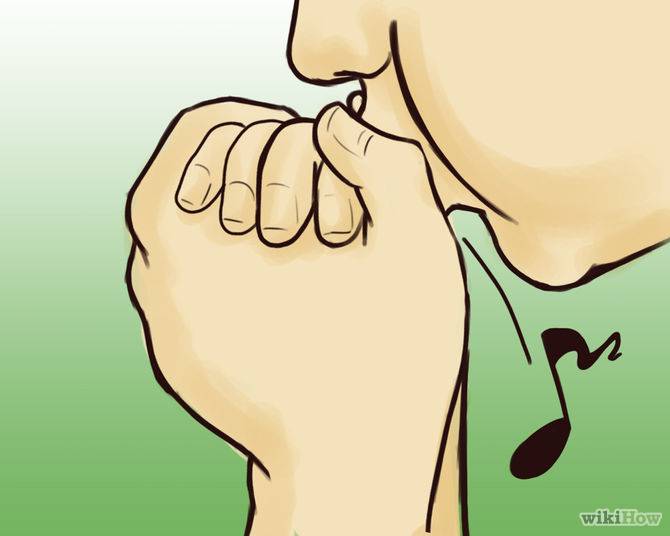 Как научиться свистеть?