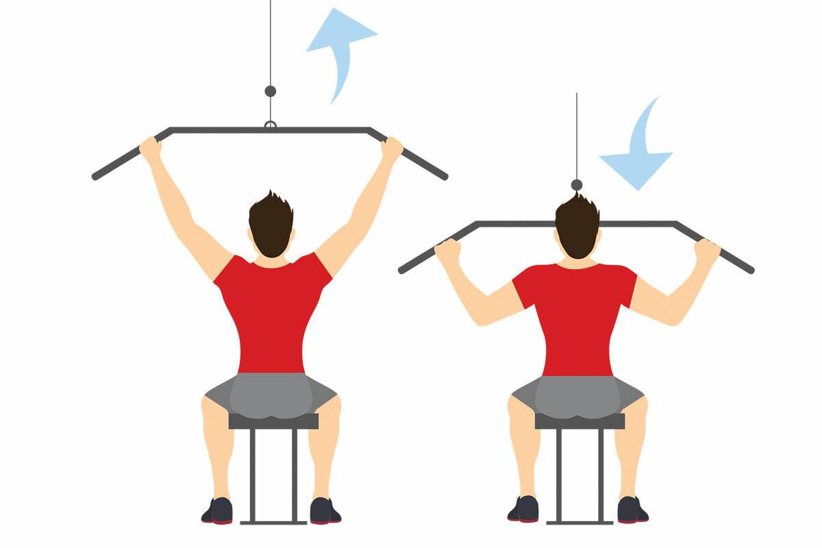 С какими мышечными группами делать становую тягу: спина или ноги?