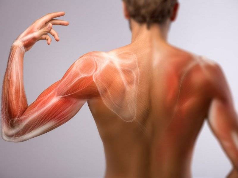 Как снять боль в мышцах после тренировки. как избавиться от боли