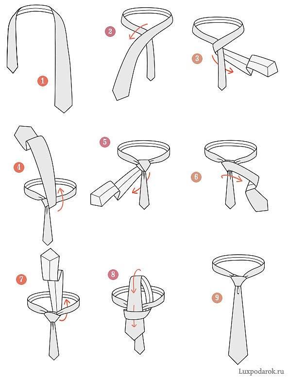 Как завязывать галстук виндзор: инструкция с фото и видео