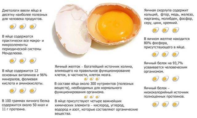 Яйца в бодибилдинге. польза и вред яиц – реальная качалка