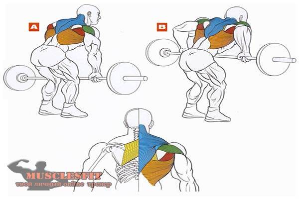 Тяга штанги в наклоне — базовое упражнение для создания широкой спины