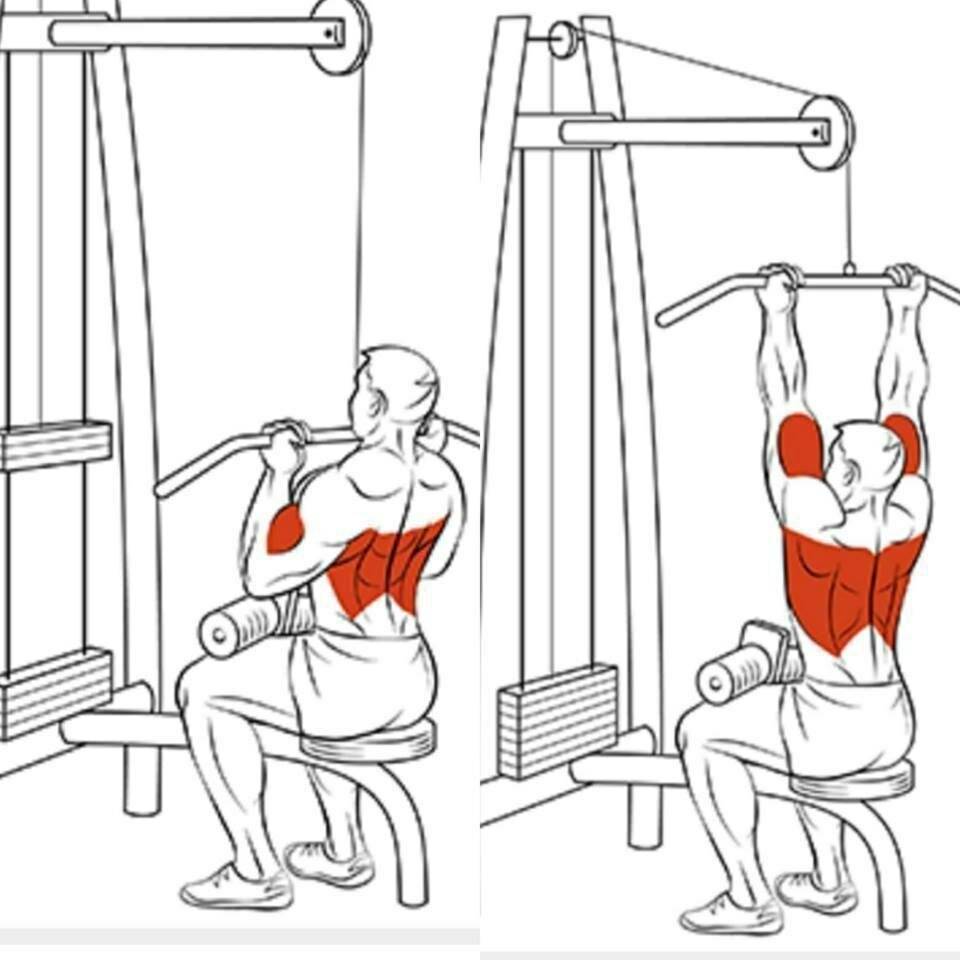 Как накачать «крылья»: самые эффективные упражнения для мышц спины