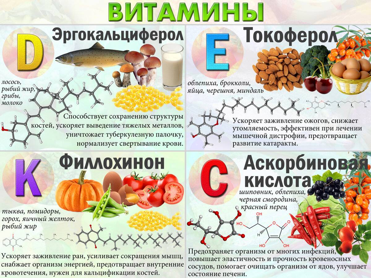 Таблица основных витаминов и их действие на организм человека