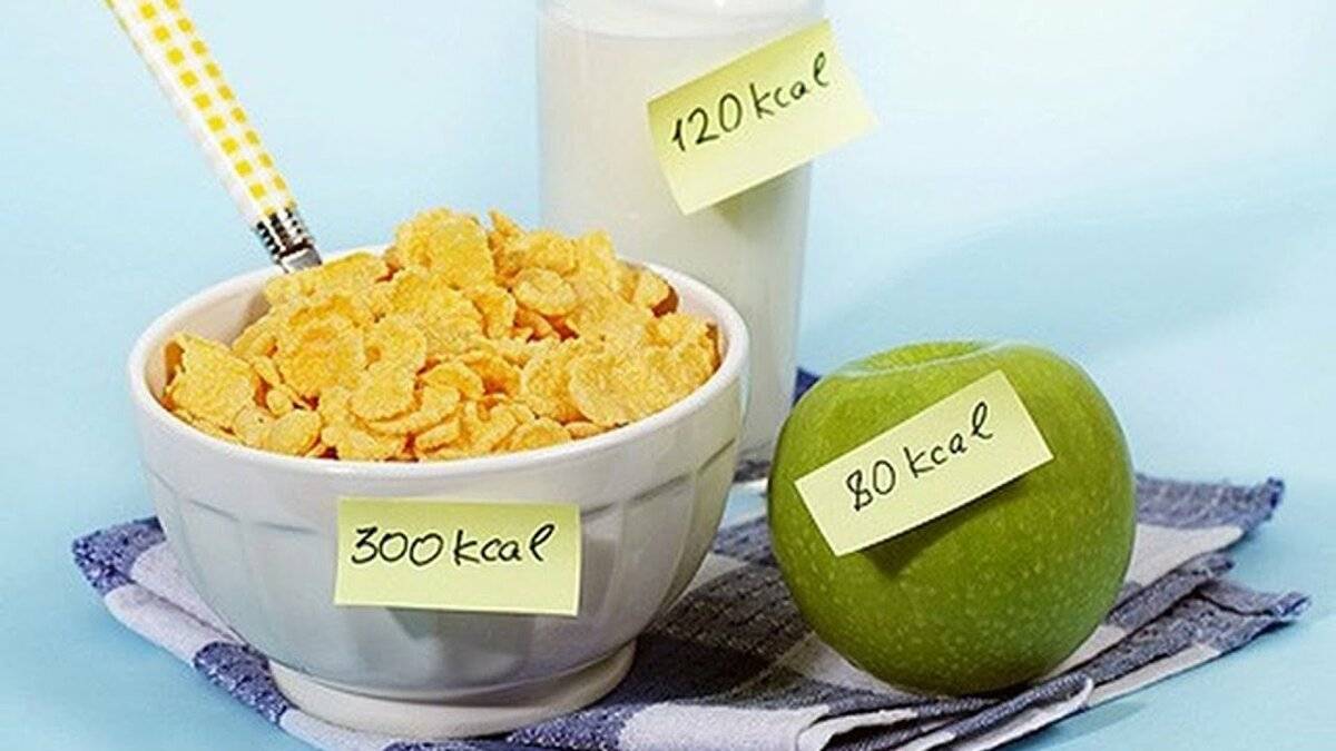 Сколько раз в день нужно есть, чтобы похудеть или набрать вес?