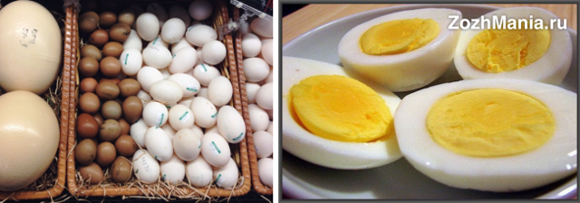 Можно ли есть яйца каждый день: советы специалистов
