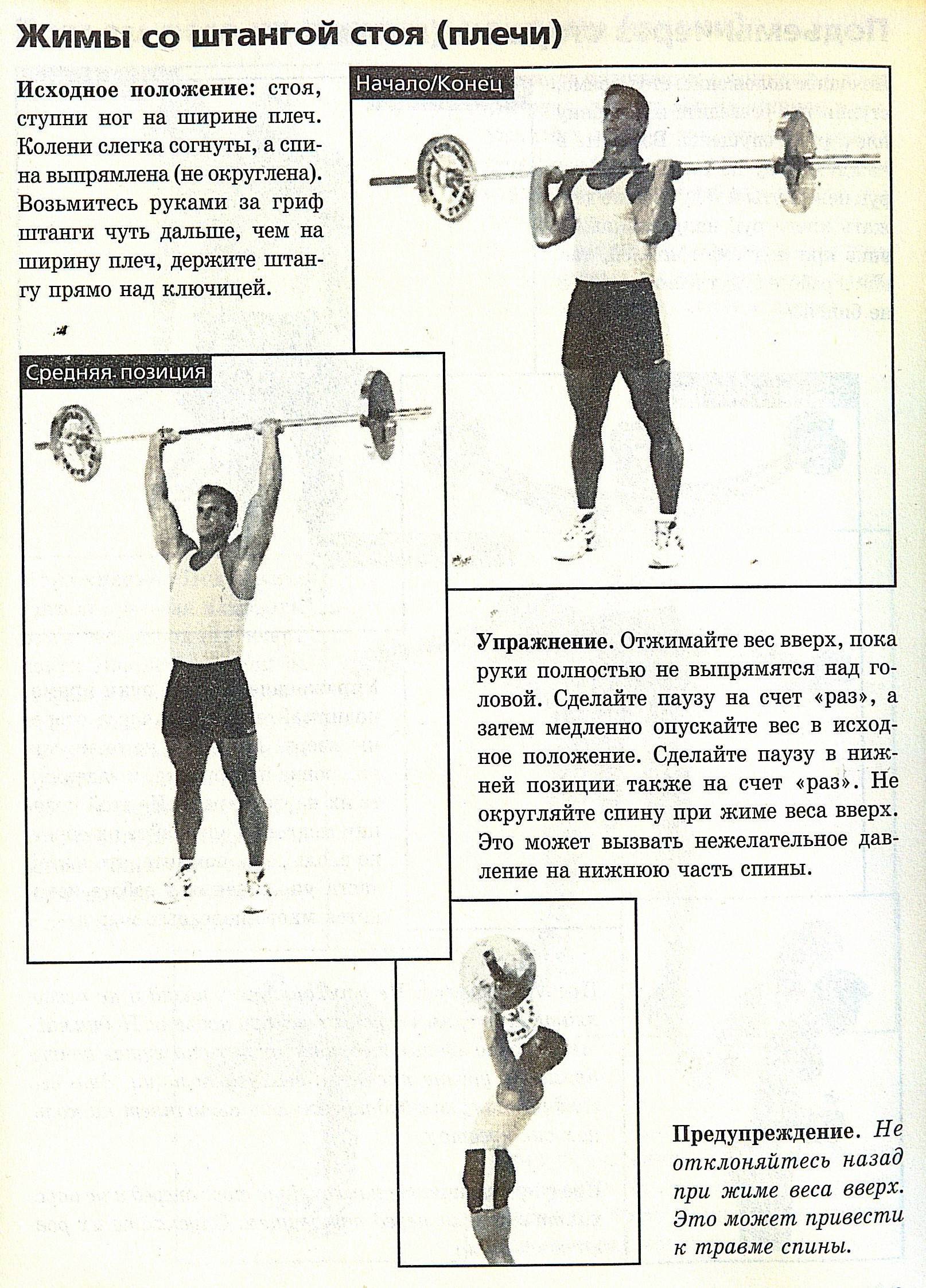 Швунг жимовой из-за головы: техника выполнения упражнения и кроссфит комплексы