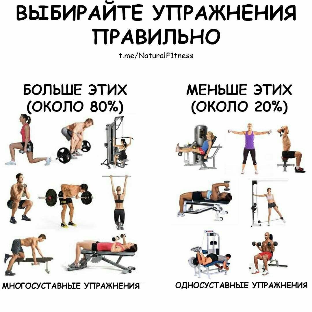 Базовые упражнения в тренажерном зале для девушек на все группы мышц, похудения