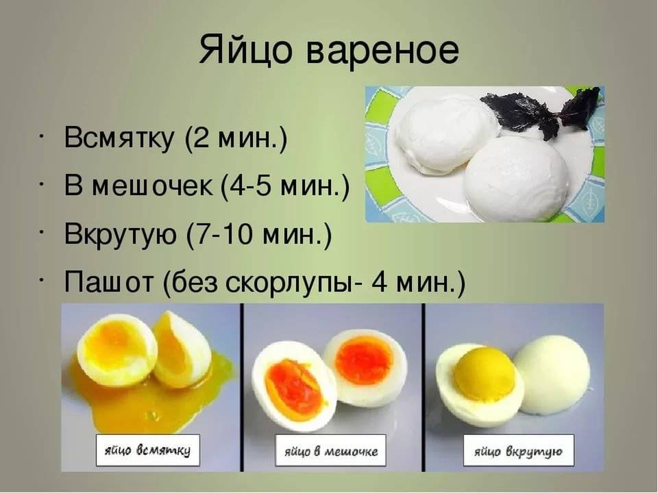 Сколько в день можно есть яиц