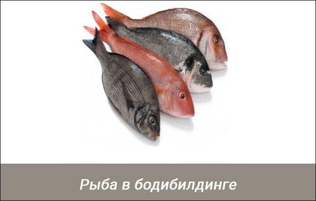 Рыба в бодибилдинге . скрытая польза рыбы - реальная качалка