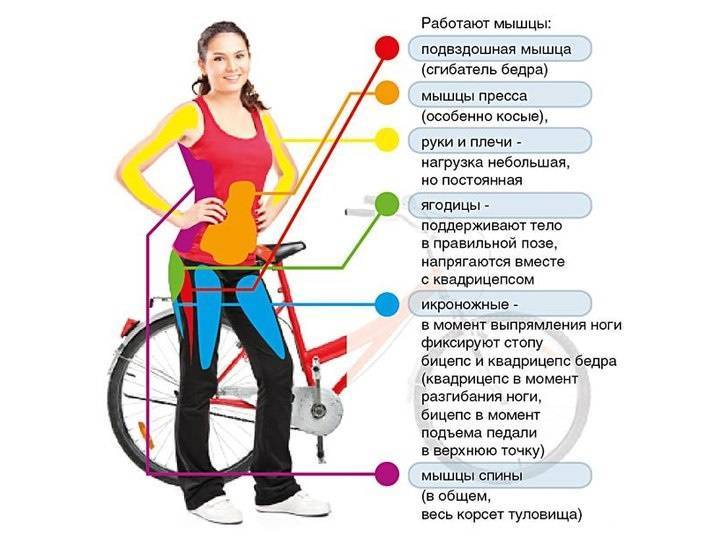 Мини велотренажер: какой лучше выбрать для дома и как заниматься на педальном тренажере