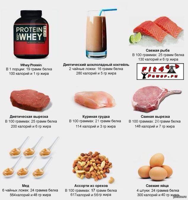 Какие продукты содержат белок в большом количестве. список и таблица