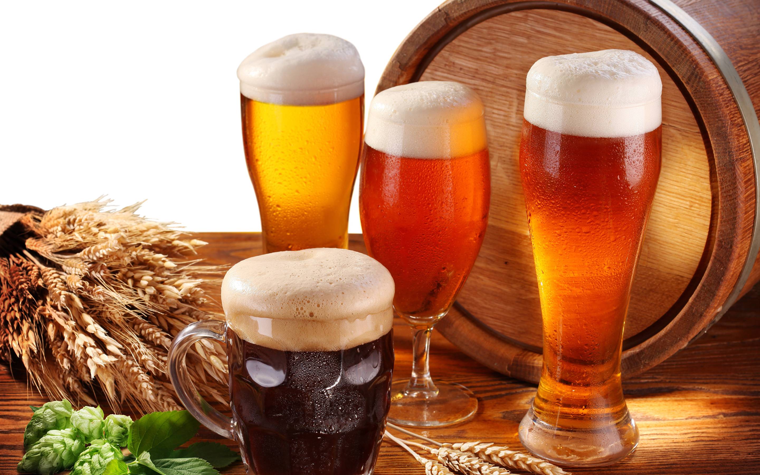 Что такое бойлерное пиво?