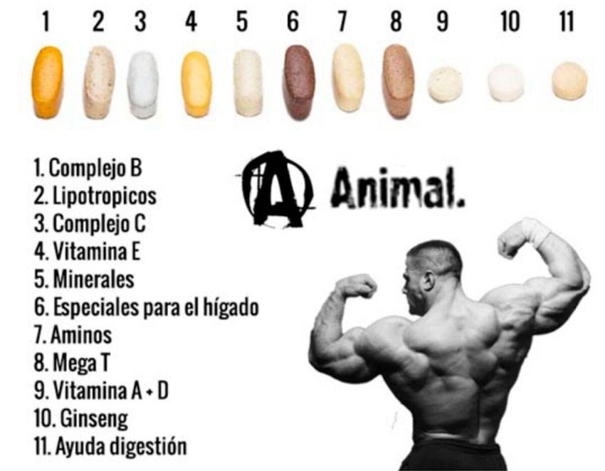 Анимал пак (animal pak) витаминно-минеральный комплекс. как принимать, состав, цена