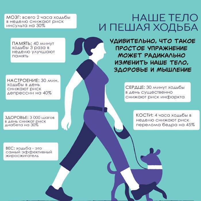 Польза ходьбы пешком: 15 полезных свойств пеших прогулок