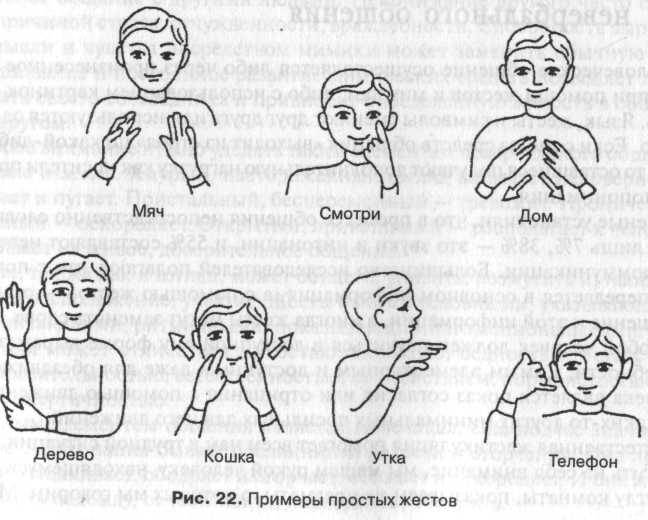 Психология тела: жесты человека и их значение, язык телодвижений
