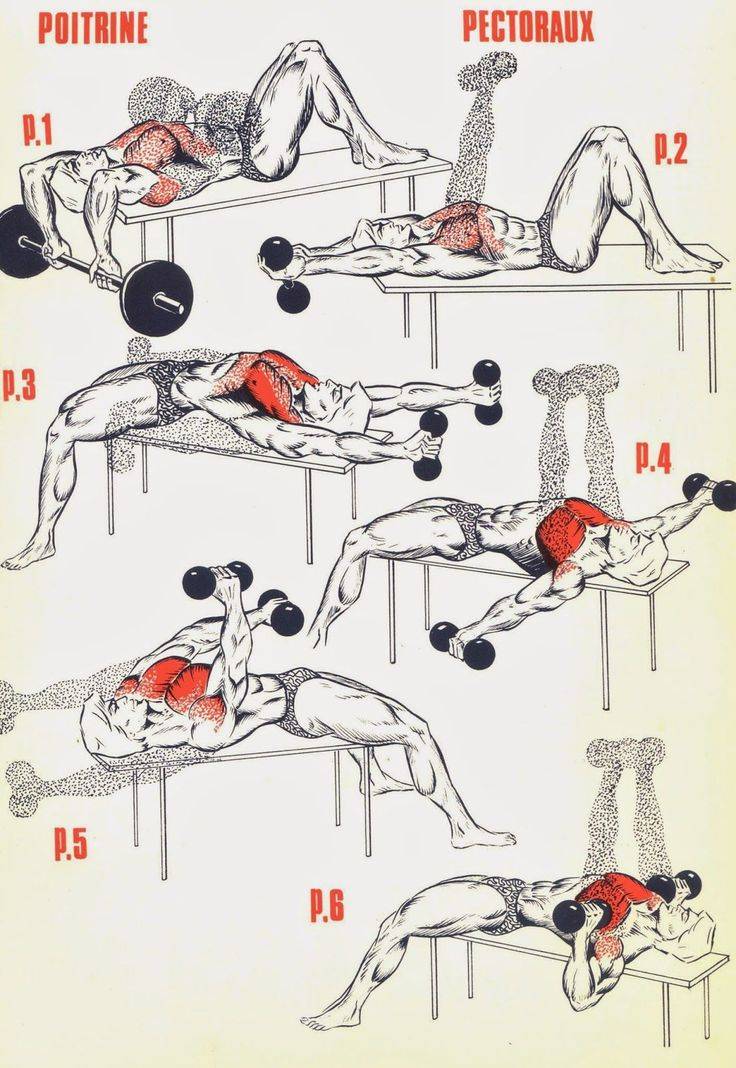 Как накачать грудные мышцы в домашних условиях с гантелями мужчине