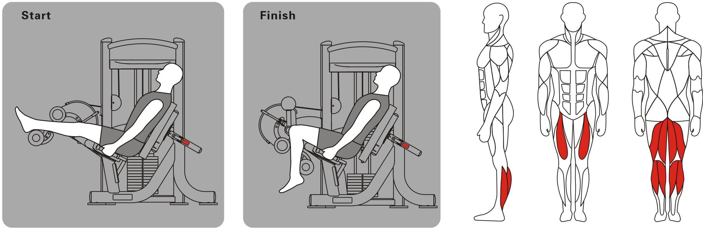 Рекомендации по выполнению сгибаний ног в тренажере лежа, сидя и стоя