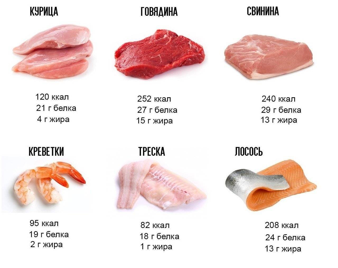 Мясо, рыба и птица – обзор калорийности и микроэлементов (таблица)