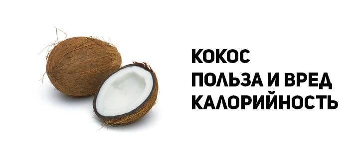 Польза и вред кокосовой стружки для организма | польза и вред