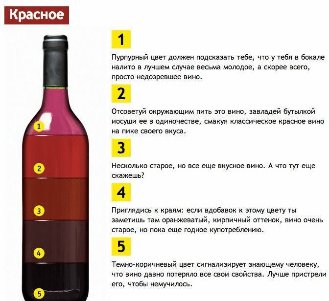 Как правильно выбрать красное вино?