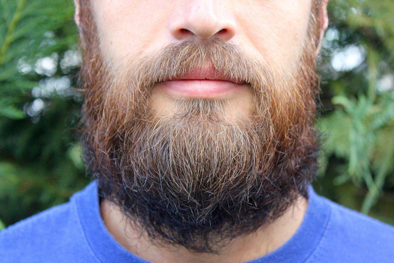 Как быстро отрастить бороду: практичные советы