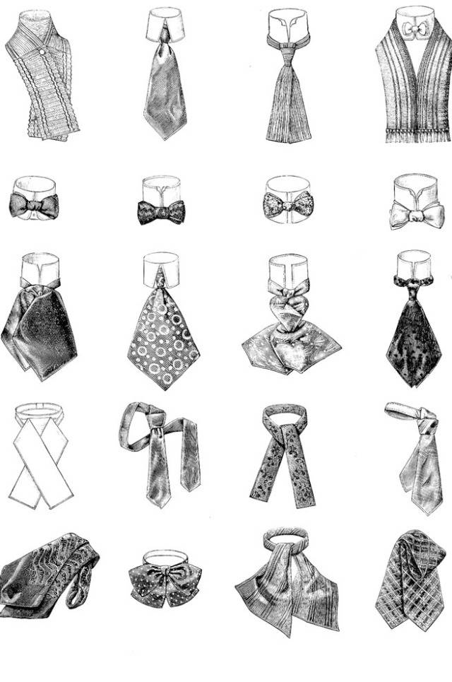 Галстук. история и разновидности галстуков