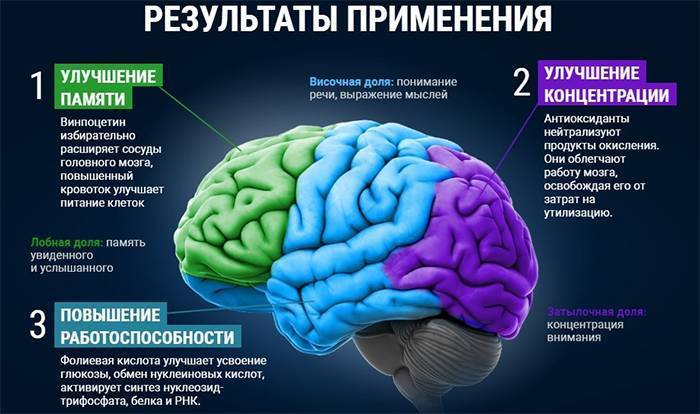 Таблетки для памяти и работы мозга взрослым. недорогие витамины, препараты для памяти. список эффективных средств