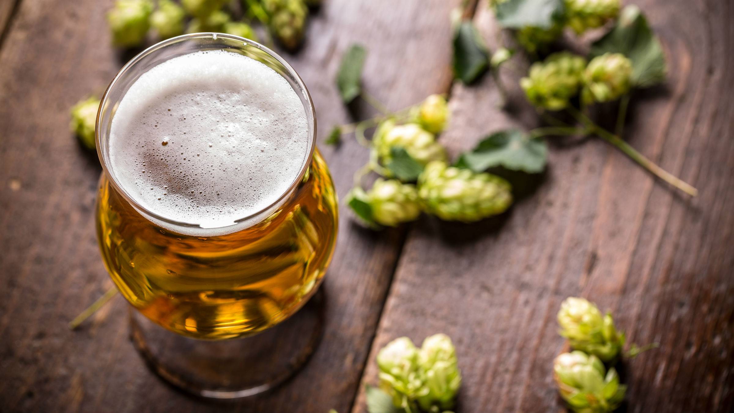 Пиво — не то, что мы думаем! 12 шокирующих фактов про любимый напиток