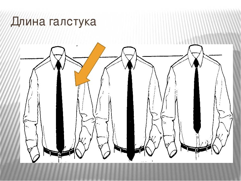 До куда должен висеть галстук – правильная длина галстука — on-line калькулятор
