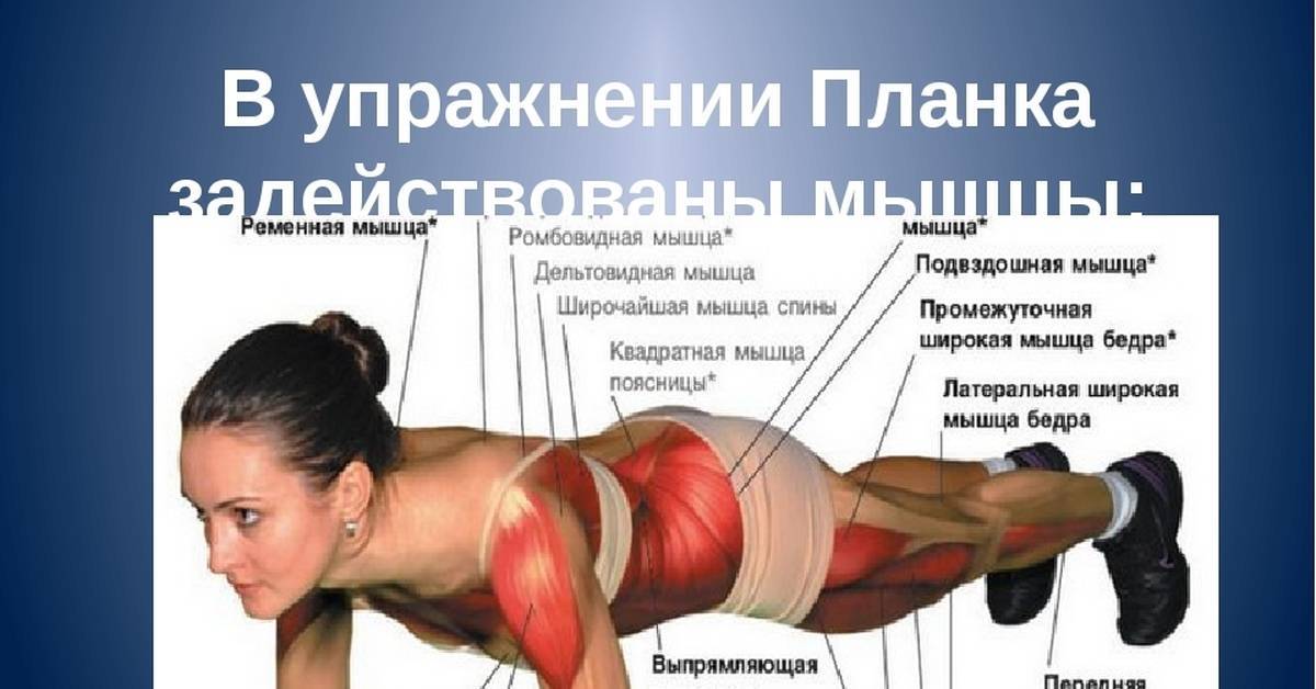 21 вид упражнения планка для укрепления мышц кора и спины