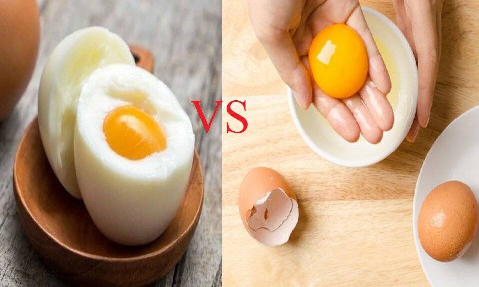 Яйцо куриное, польза и вред для организма человека