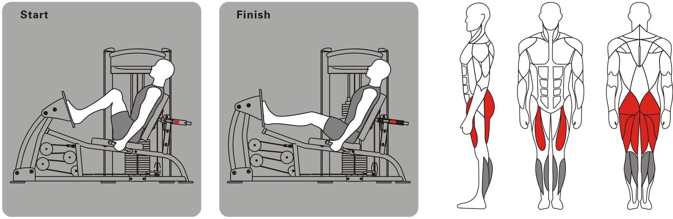 Как правильно выполнять жим ногами лежа в тренажере