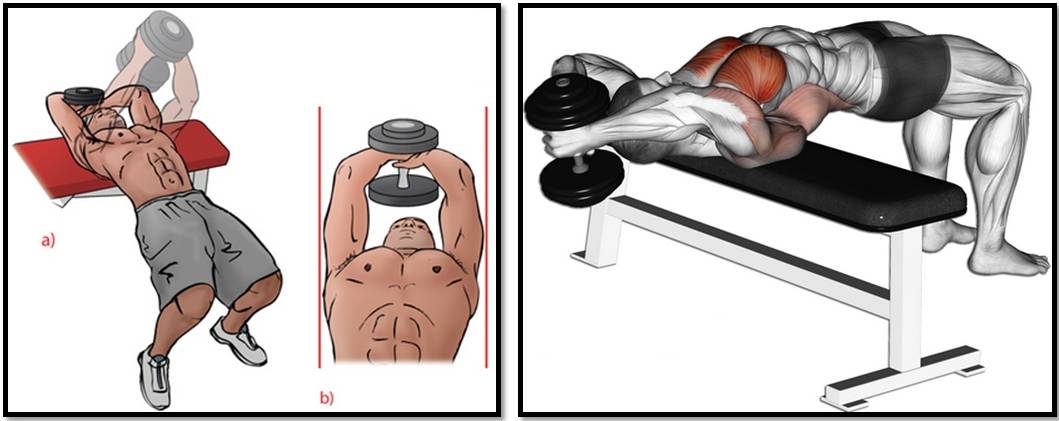 Эффективные упражнения на грудные мышцы дома