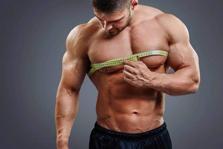 Как растут мышцы