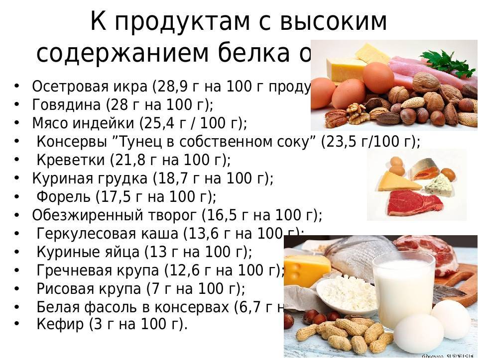 Продукты с наивысшим содержанием белка. таблица содержания белка в продуктах