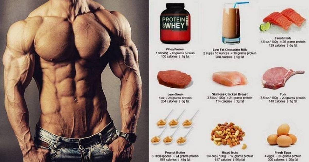 24 богатых протеином продукта для больших мышц