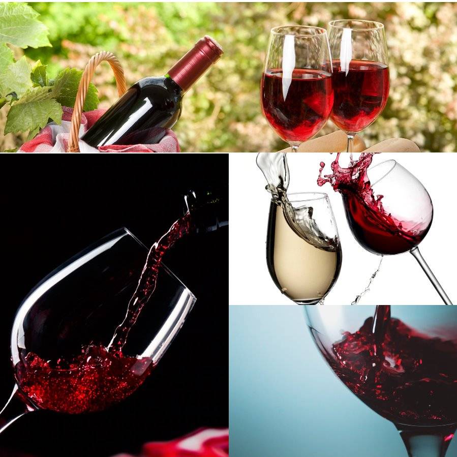 Как выбрать хорошее красное сухое вино: полезные советы и лайфхаки