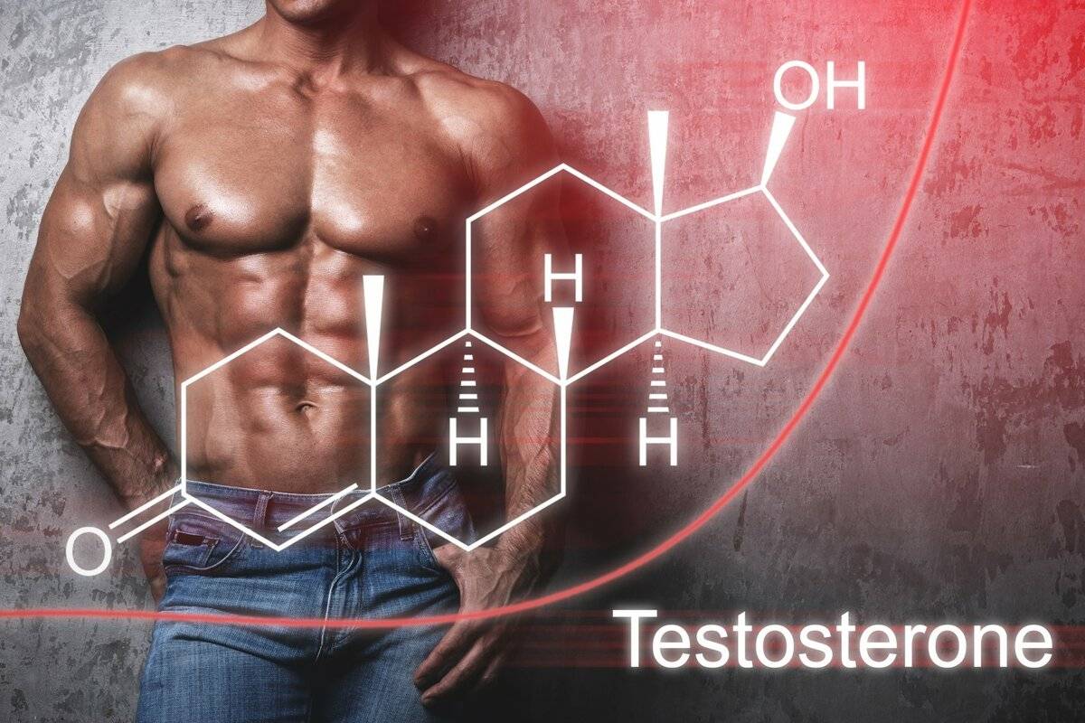 Как можно повысить тестостерон мужчине