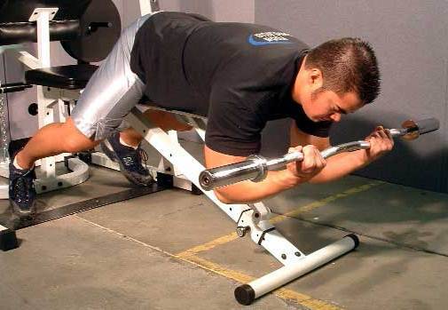 Бицепс – упражнения и особенности тренировки.