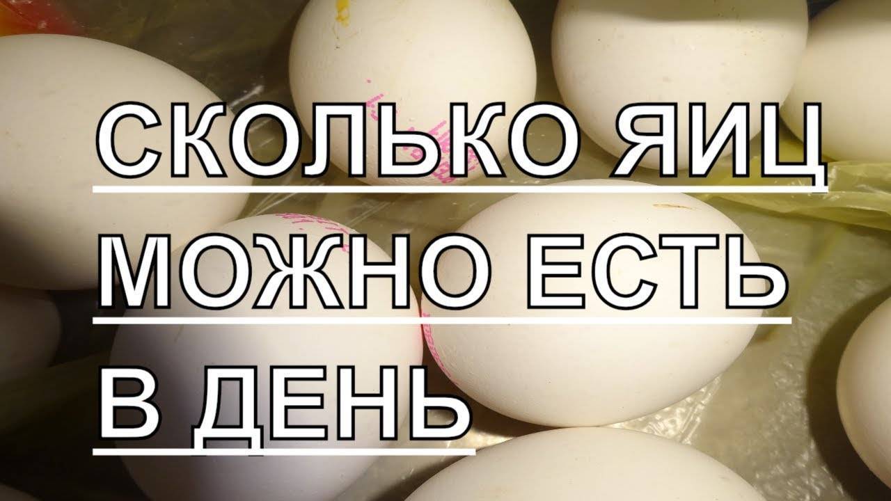 Сколько можно съедать яиц в день