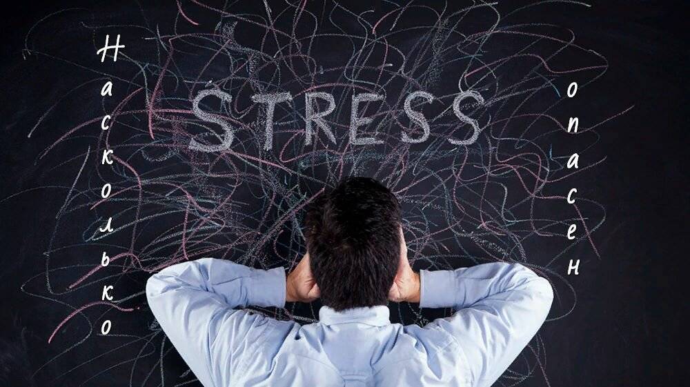 Хронический стресс повреждает мозг, но с этим можно бороться