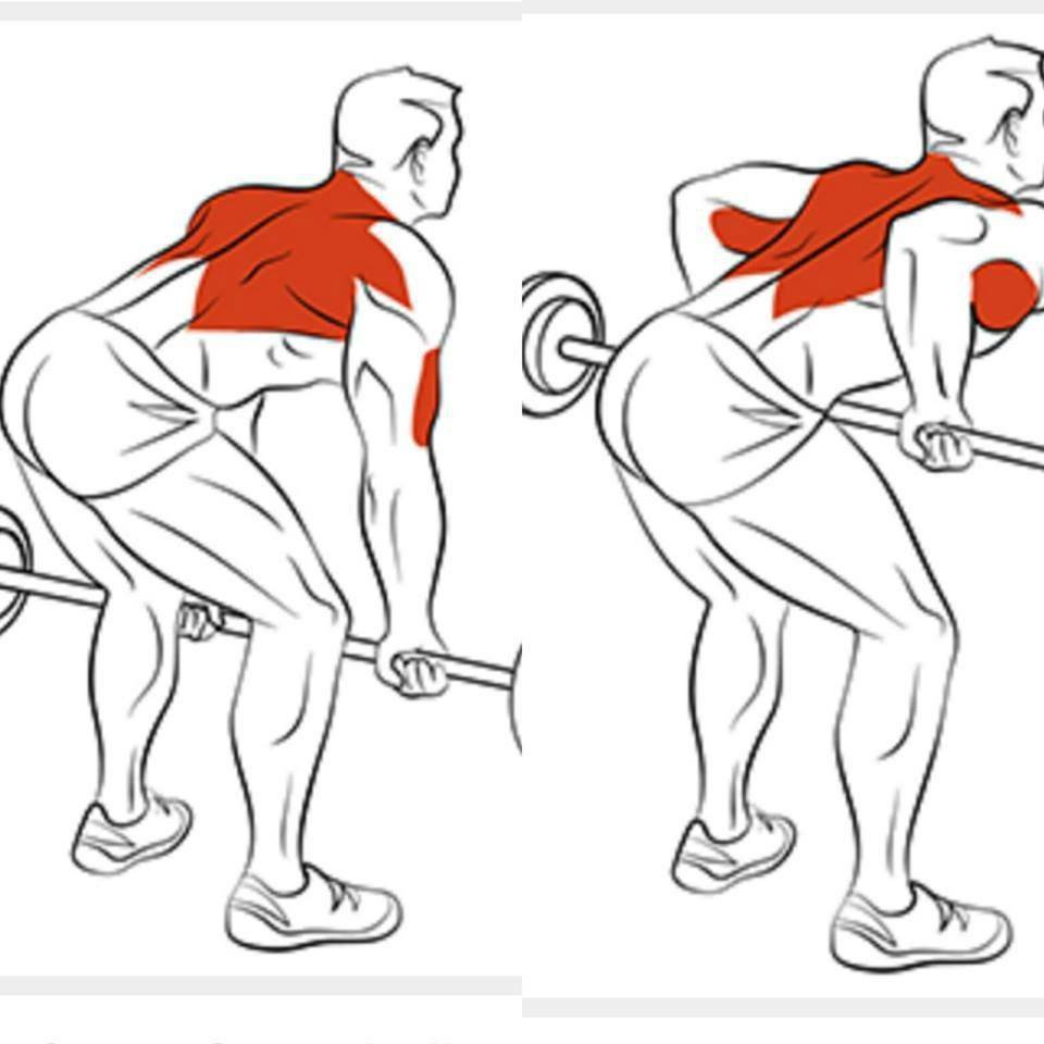 Упражнения для верхней части спины