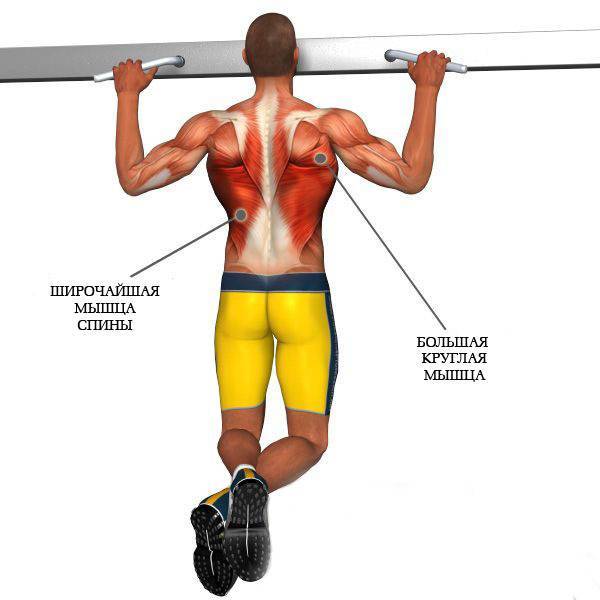 7 видов подтягиваний для широкой и мощной спины