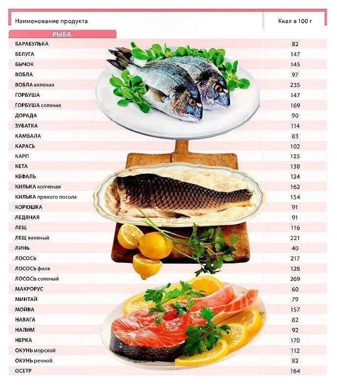 Содержание белков, жиров и углеводов в рыбе и морепродуктах, количество калорий на 100 грамм.