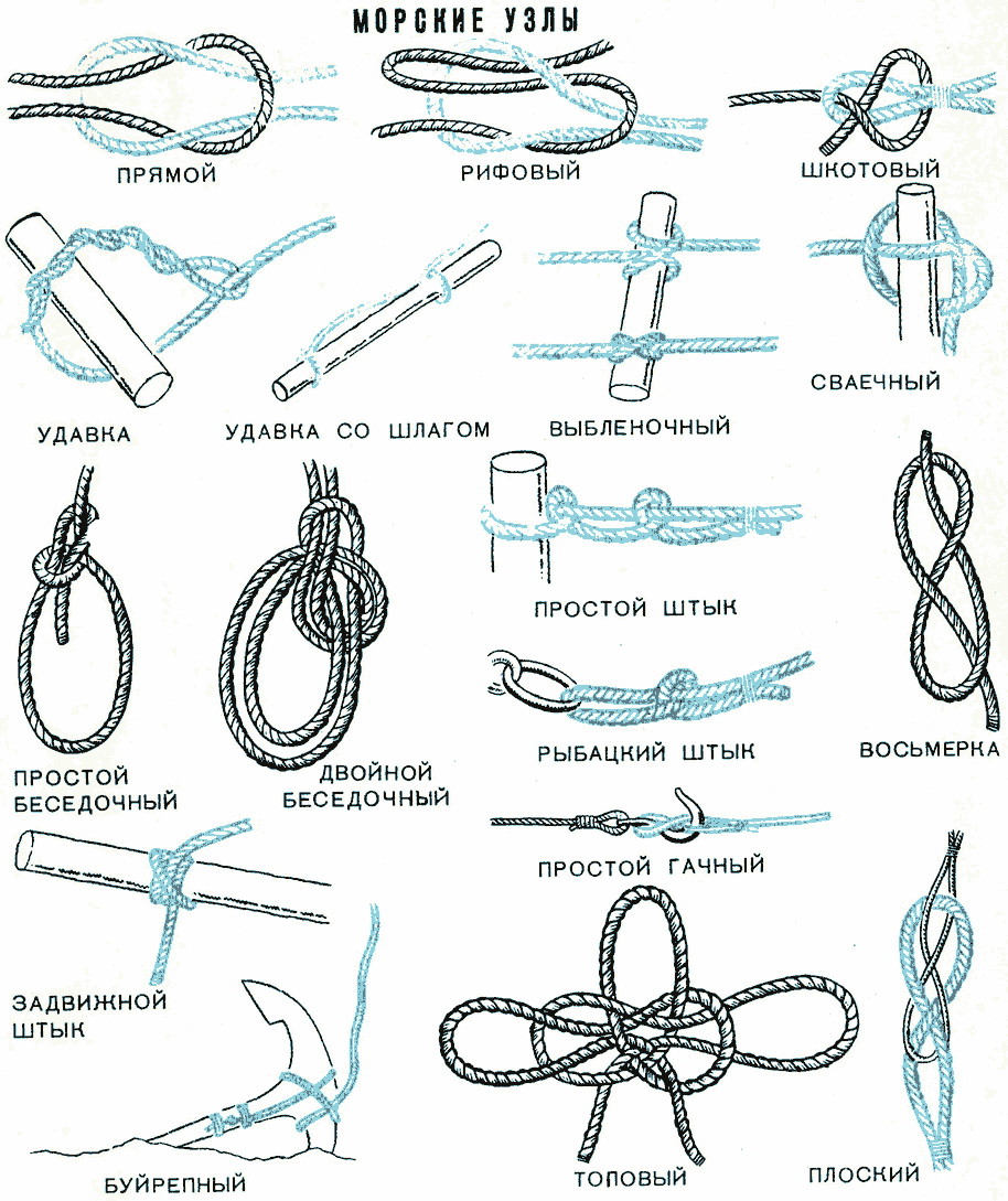 Узлы для галстука: виды, выбор, инструкция