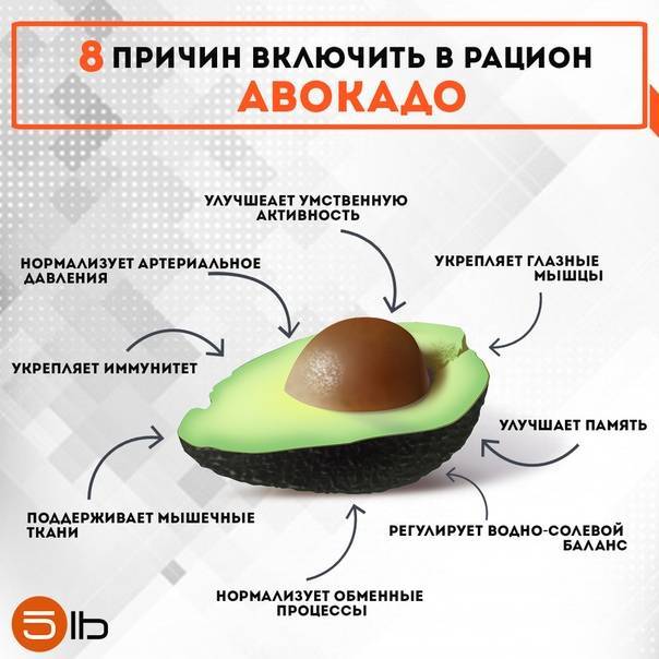 “авокадо: польза и вред для организма, калорийность и особенности”